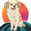 Dog Dog Dog Sport
