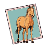 Horse Ponyhof Hufe