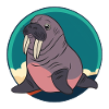 Sea Lion Walrus Animals