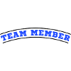 Team Member Design