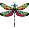 Libellule