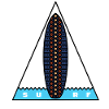 Surf Triangle