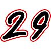 29 Number symbol