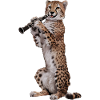 Gepard Klarinette