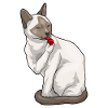 Siamese Cat Referee Whistle