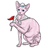 Sphynx Katze Seemann Fahne