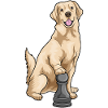 Labrador Schachfigur Bauer Schach
