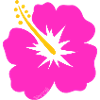Hibiscus flower