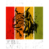 Iberian Lynx Iberischer Luchs
