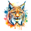 Lynx pardelle
