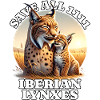 Lynx ibérique de la Sava