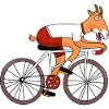 Goat on a bicycle