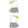 Two Eagles