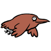 brown bird