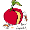 Organic, apple with ants