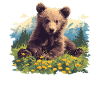 Bear Bären Bär
