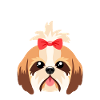 I shih-tzu not