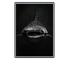 requin-baleine Requin-baleine requin-baleine