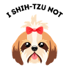 I shih-tzu not