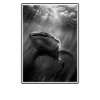 requin-baleine Requin-baleine requin-baleine