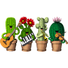 Funny Cactus
