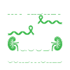 Kidney Donor