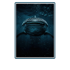 requin-baleine Requin-baleine requin-baleine