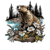 Beaver Biber