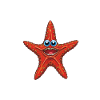 happy starfish