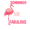 Flamingo Fabulous