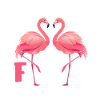 Flamingos
