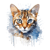 Bengal Cat