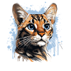 Bengal Cat