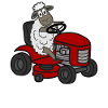 Sheep Lawn Mower Shepherd