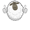 Thumbs up Sheep