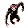 Dynamic Chimpanzee Motif