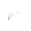 Turtle Animal