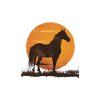 Horse Silhouette Sunset