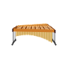 Vibraphon, vibraphonist