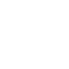 Violinist