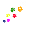 Dog paw prints