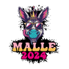 Malle 2024 Âne de fête
