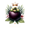 Mangosteen Thailand Fruit Mangosteen