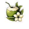 Thailand Fresh Coconut