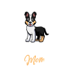 Short-haired collie mom