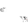 MOOOn