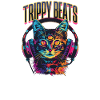 EDM Festival Trippy Beats