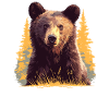 Ours Bären Bär