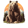 Bear Bären Bär