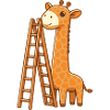 Bébé girafe